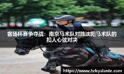 EVO视讯官网